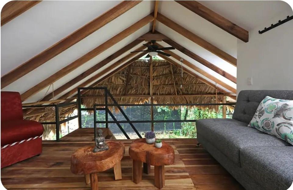Evolution House Jungle Oasis Villa Hone Creek ภายนอก รูปภาพ