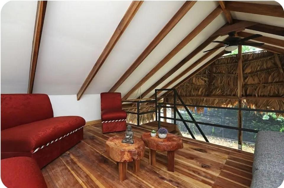 Evolution House Jungle Oasis Villa Hone Creek ภายนอก รูปภาพ