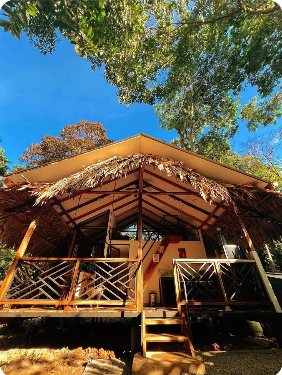Evolution House Jungle Oasis Villa Hone Creek ภายนอก รูปภาพ